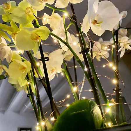 Appartement 45bb *