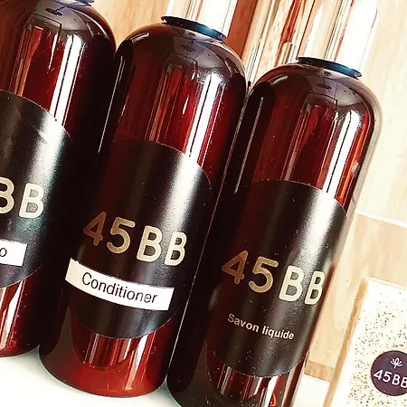 45bb * 카르카손