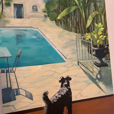 Appartement 45bb Carcassonne